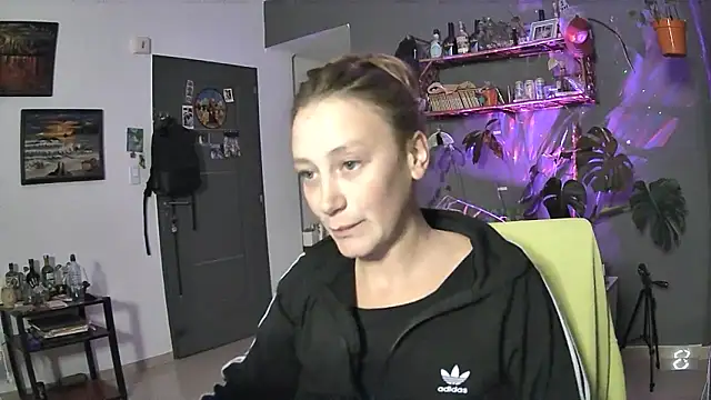 stupid babybird online show from 28, 3, 2026