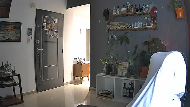 stupid babybird online show from 5, 4, 2026