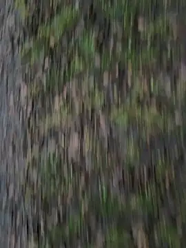 Przystojniak77 online show from 20, 12, 2025