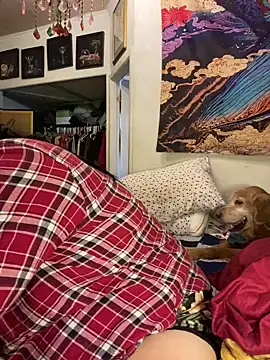 sexyasscougar online show from 2, 3, 2025