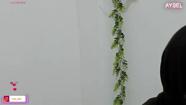 aysel elid online show from 8, 1, 2025