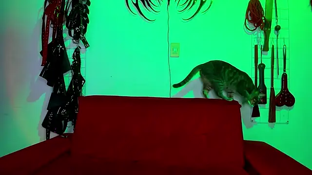 irregular fetish  online show from 19, 2, 2026