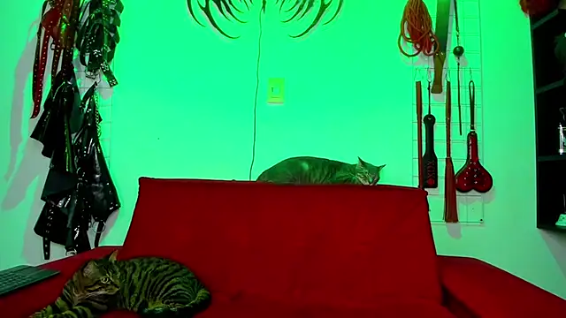 irregular fetish  online show from 26, 2, 2026