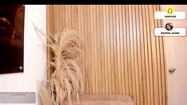 sofhiaa adaams online show from 22, 2, 2026