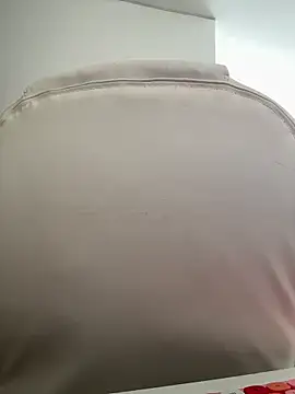 pamell col online show from 2, 11, 2025