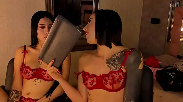 catalina  23 online show from 26, 2, 2025