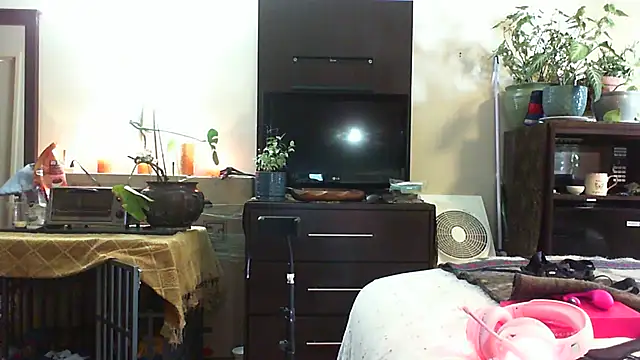 CeceilaMoon online show from 14, 7, 2026