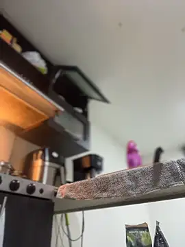 JulianaCastillo online show from 2, 4, 2026