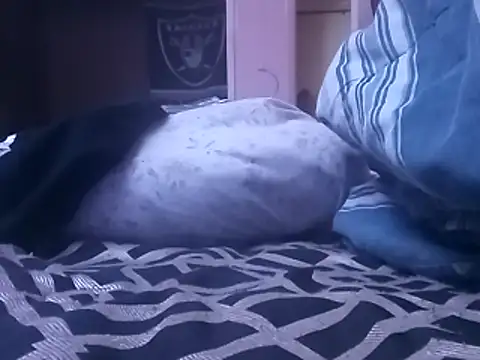 Blkstylion online show from 5, 2, 2026