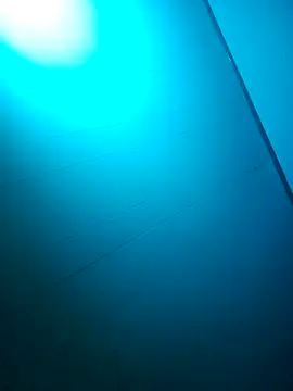 Snapshot of nicedicknicetats chatting on 31, 10, 2025 nicedicknicetats online show from 31, 10, 2025