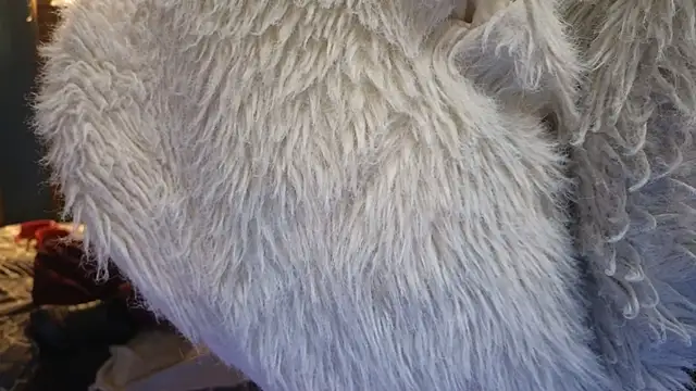 PropertyAndBiker online show from 6, 12, 2024