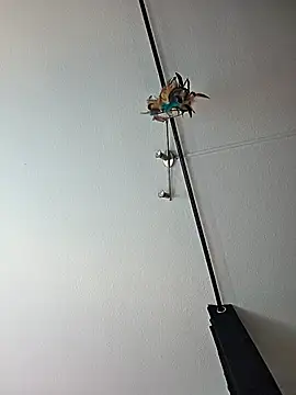 Snapshot of dieGeile0411 chatting on 24, 10, 2025 dieGeile0411 online show from 24, 10, 2025