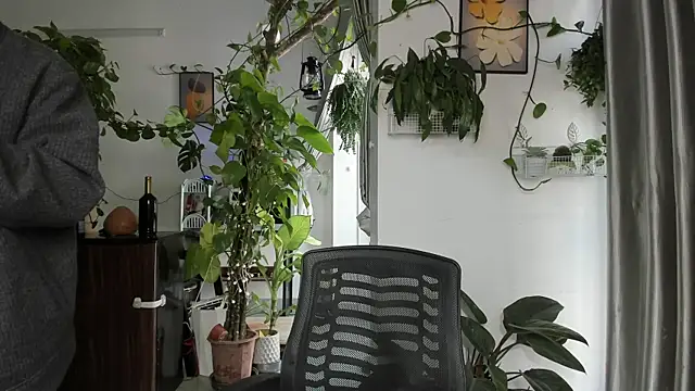 Oliver Nl online show from 8, 1, 2026