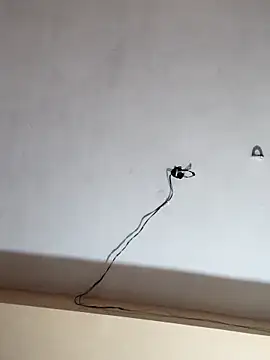 Luv Adite20 online show from 13, 11, 2025