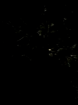 Hancoxx online show from 22, 7, 2026