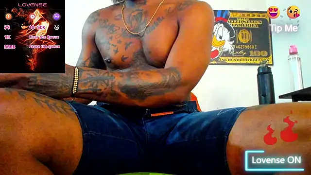 wotton 17 online show from 7, 1, 2026