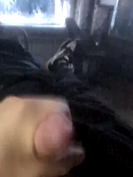 Boysex227 online show from 19, 3, 2026