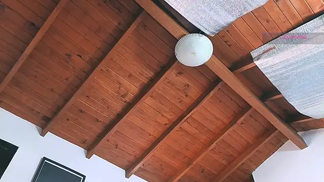 SilvaBranko online show from 14, 3, 2026