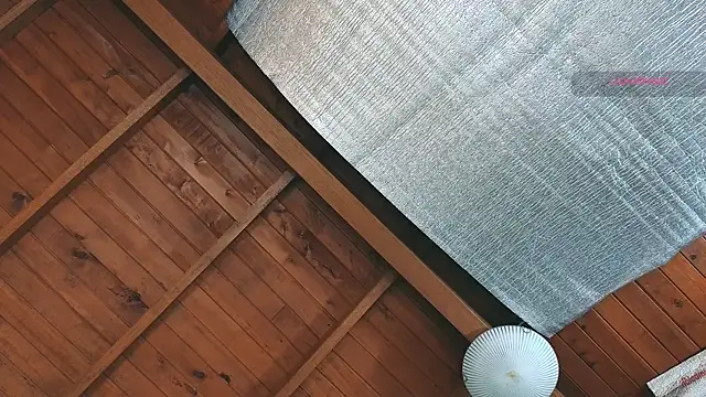 SilvaBranko online show from 27, 3, 2026