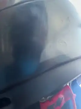 Bonniepark online show from 5, 3, 2025