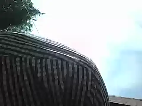 Javan  online show from 15, 1, 2025