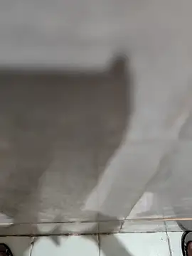 joejoe7 online show from 17, 11, 2025