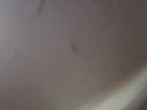 Gin4Cole online show from 25, 9, 2025