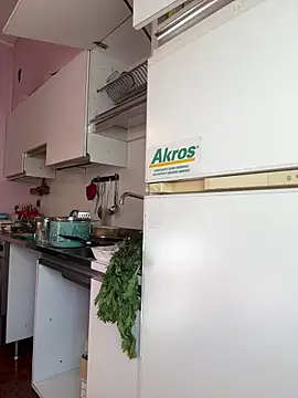 Sunbelxx online show from 4, 11, 2025