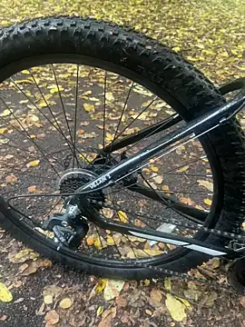 Shyboy817 online show from 22, 10, 2025