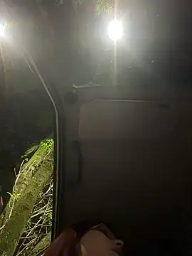 Electra doll  online show from 10, 1, 2026