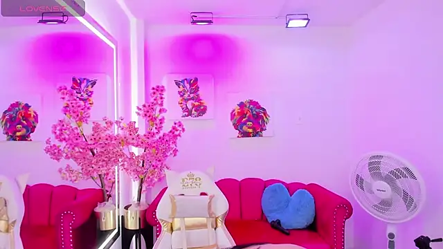 Miss dolly  online show from 12, 2, 2025