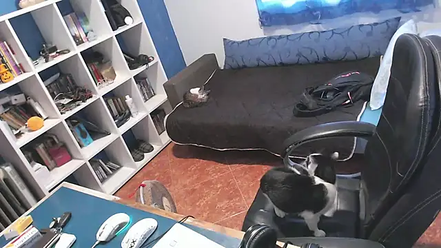 Snapshot of ravingr4d4 chatting on 24, 10, 2025 ravingr4d4 online show from 24, 10, 2025