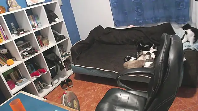 Snapshot of ravingr4d4 chatting on 1, 11, 2025 ravingr4d4 online show from 1, 11, 2025