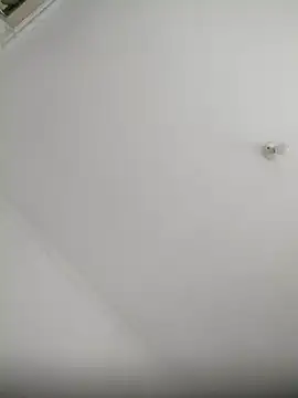 Robertao20cm online show from 7, 12, 2024