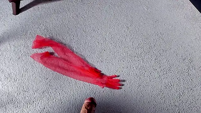 Dorothy Meyer online show from 27, 3, 2026