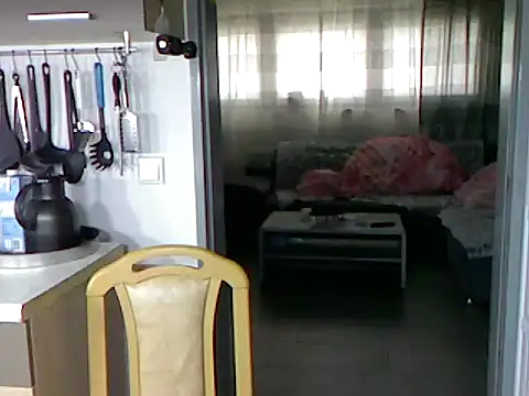 pimmelmann3 online show from 15, 11, 2025