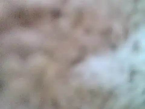 Snapshot of DaddyQuimHot chatting on 9, 2, 2025 DaddyQuimHot online show from 9, 2, 2025