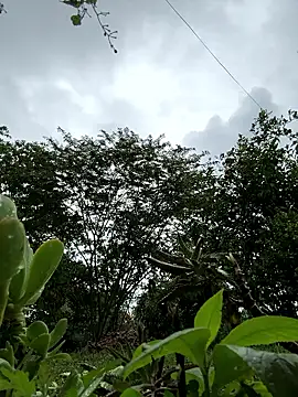 ViolettaSummer online show from 12, 1, 2026