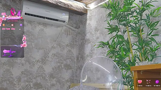 YourBurnWish online show from 9, 10, 2025