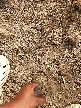 Ajith mvi online show from 18, 2, 2026