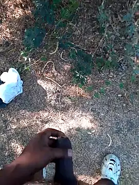 Ajith mvi online show from 26, 3, 2026