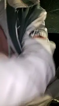 Zeefy online show from 16, 1, 2025