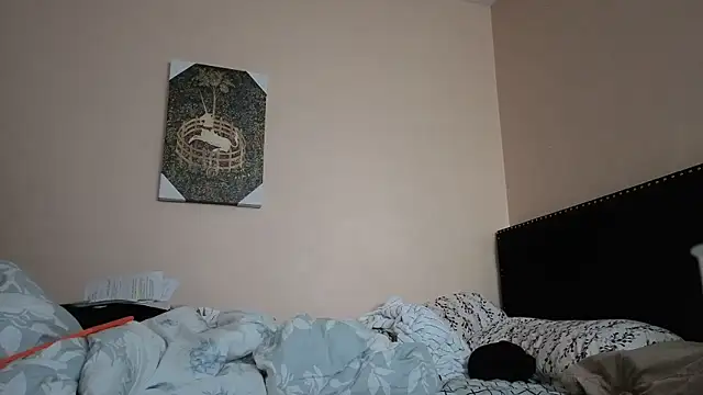 hailzeffn online show from 2, 11, 2025