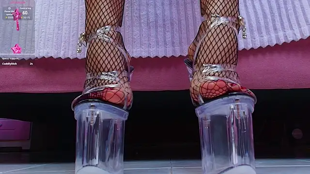 AuroraSim online show from 30, 10, 2025