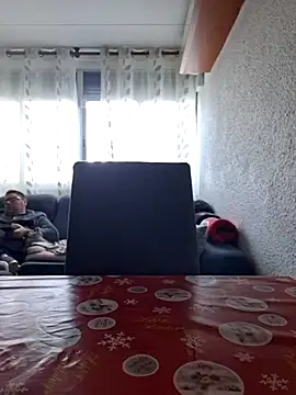 Javier bear online show from 11, 1, 2026