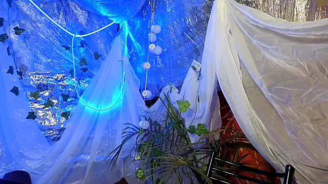 Jony Marta online show from 16, 10, 2025