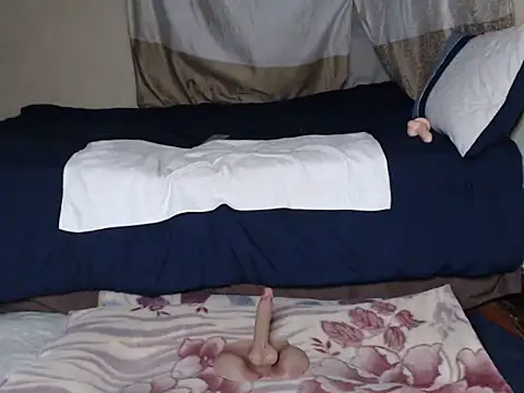 AdelaideT online show from 3, 4, 2026