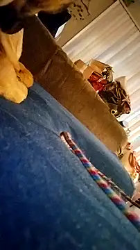 Snapshot of fukurbutt chatting on 19, 2, 2026 fukurbutt online show from 19, 2, 2026