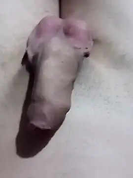 Snapshot of El22_1431 chatting on 17, 1, 2025 El22 1431 online show from 17, 1, 2025