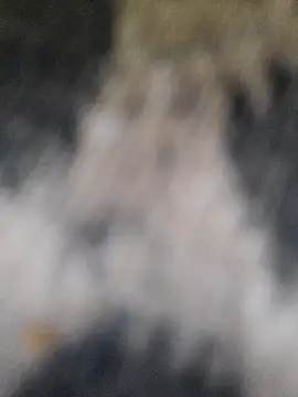 Snapshot of marcialoira chatting on 5, 2, 2025 marcialoira online show from 5, 2, 2025